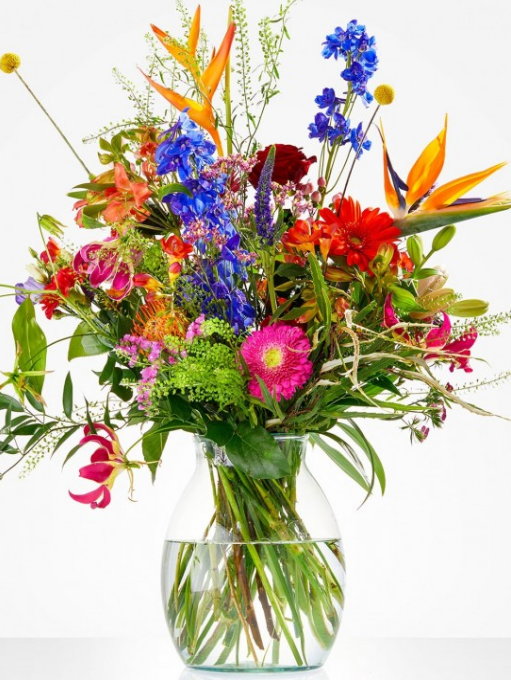 BOUQUET COLOR EXPLOSION